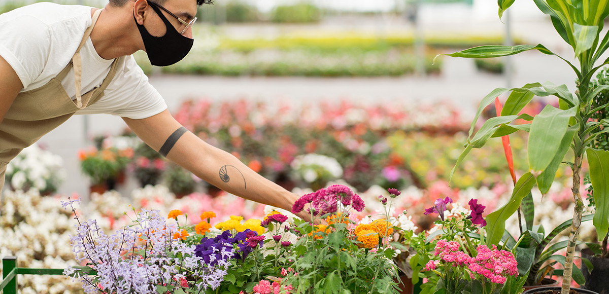 Venta de Plantas en Monterrey, Viveros monterrey